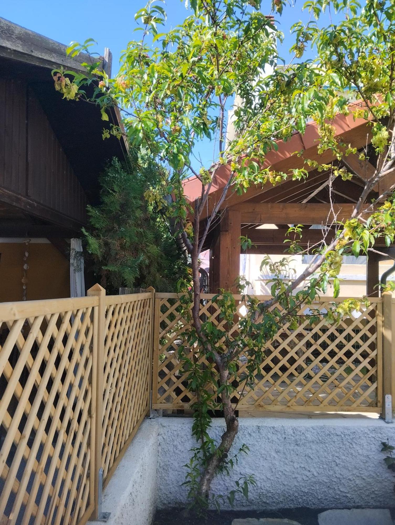 Villa Theros Aegean Nea Iraklitsa